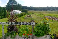 img_20200725_175208510_hdr